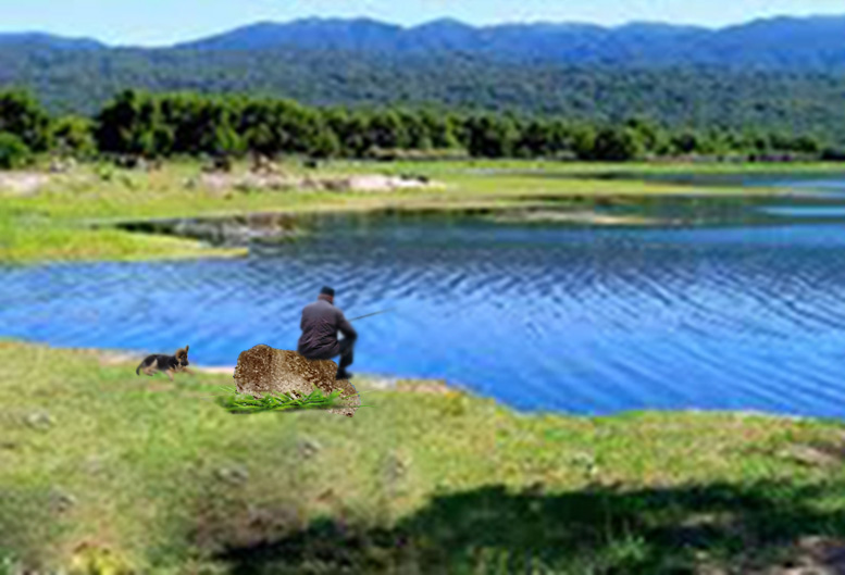 Viejo pescando en lago